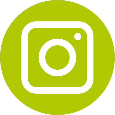 Instagram Icon